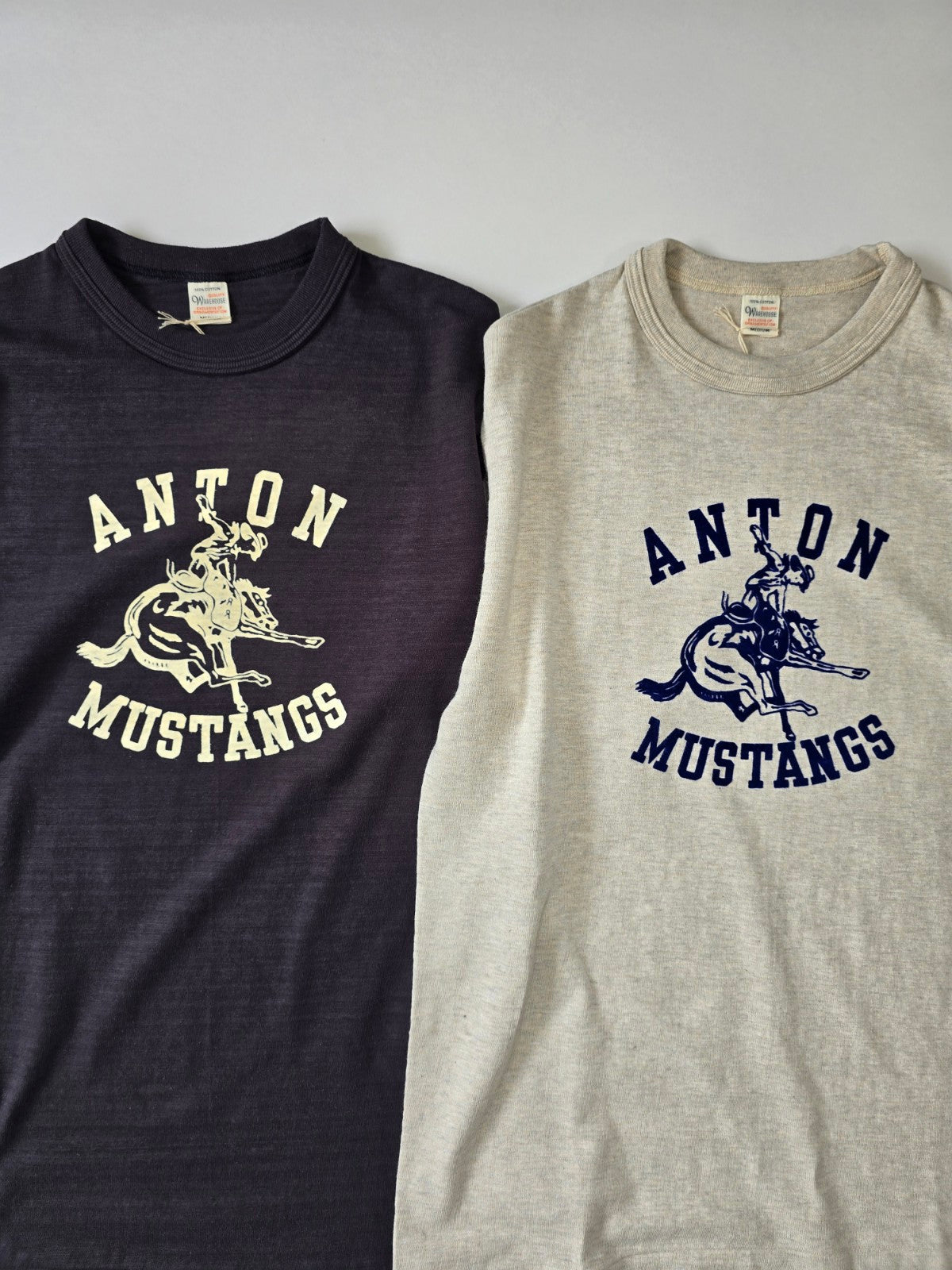 WAREHOUSE Lot 4601 ANTON